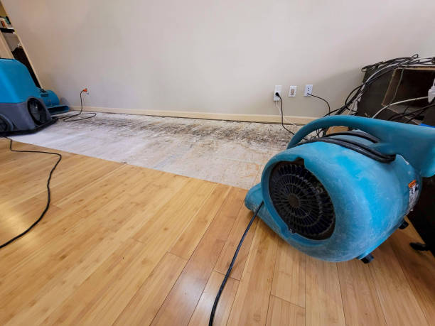 Professional Water Removal technician working in Port Royal, SC